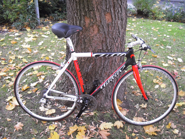 Ein hauch von Sattel